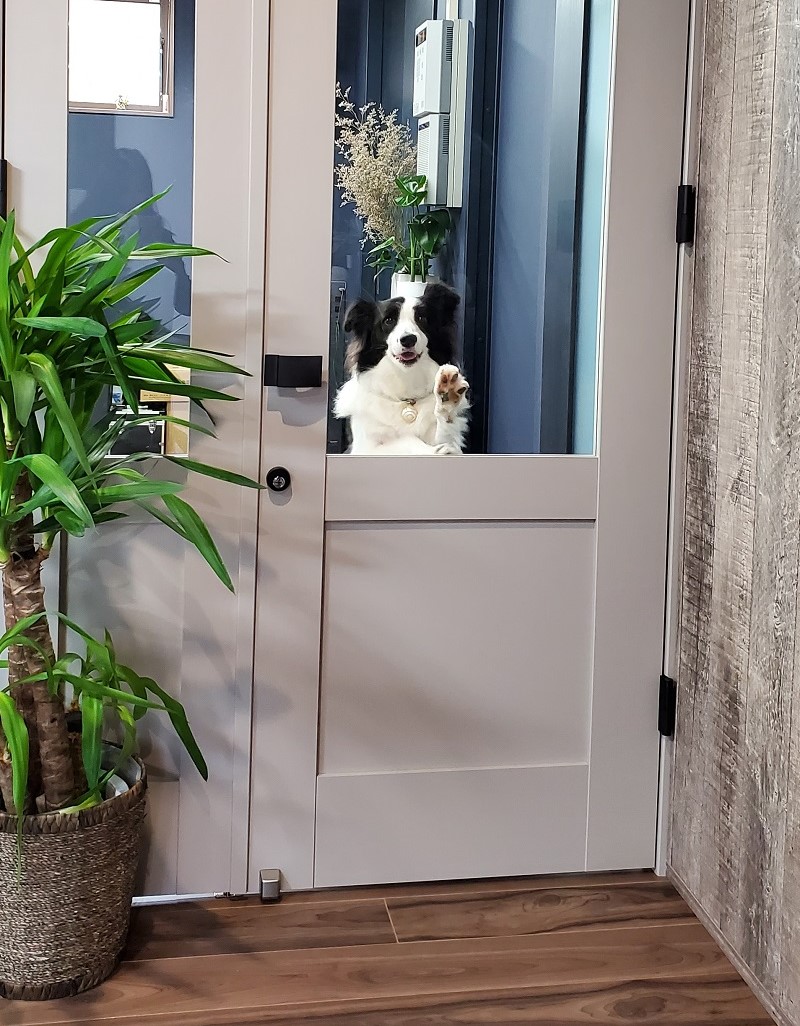 pretty-dog-door